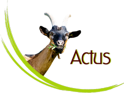 syndicat caprin drome actualites petites annonces